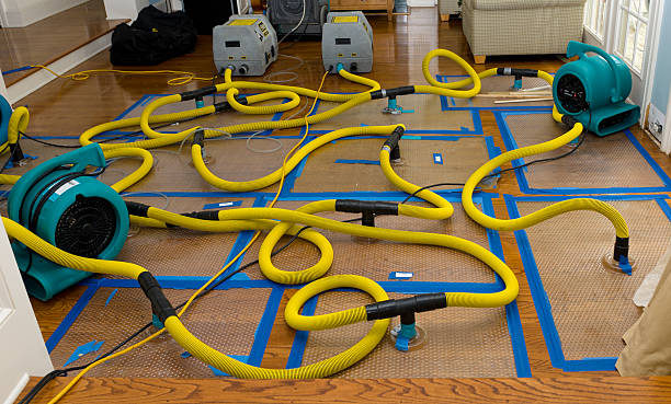 Professional Water Extraction technician working in Lodge, SC